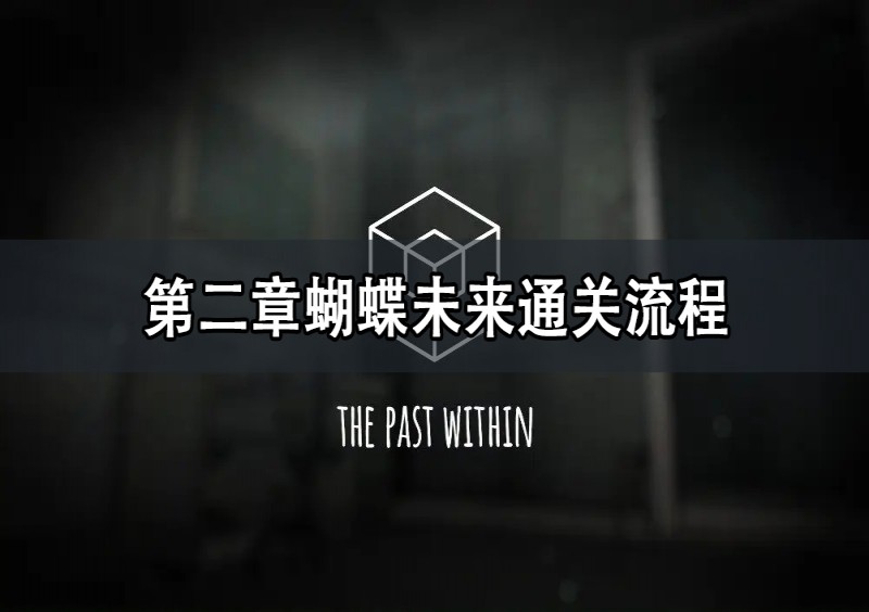 The Past Withinڶºδͨع