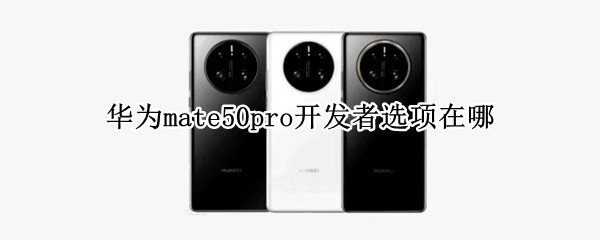 Ϊmate50proѡ
