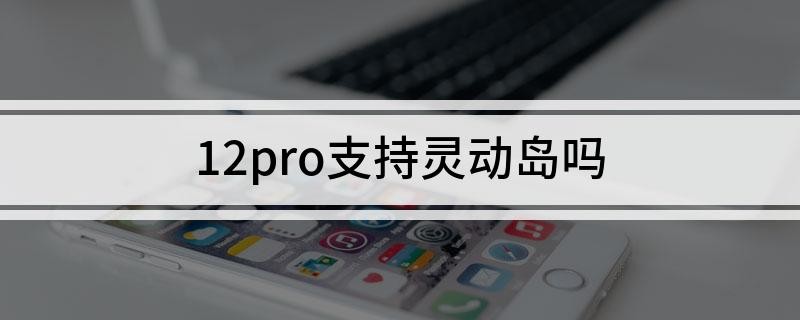 12pro֧鶯