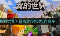 ҵ羭9999999ָʲô