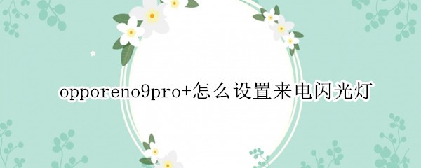 opporeno9pro+ô