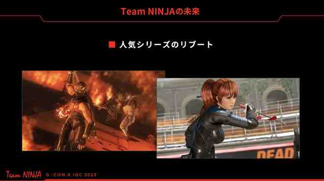 Team NinjaȷϾϵе