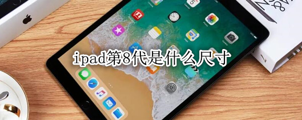 ipad8ʲôߴ