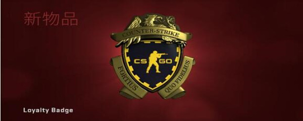 csgoôͶ