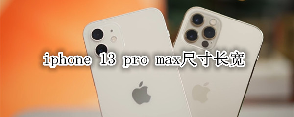 iphone 13 pro maxߴ糤