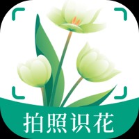 ����ʶ��flowerֲ��ʶ�𹤾�