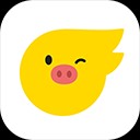 ���������ֻ��汾����_��������app����