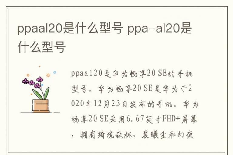 ppaal20是什么型号 ppa-al20是什么型号_八软
