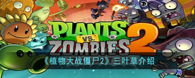 植物大战僵尸2三叶草介绍